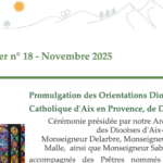 Newsletter de la DDEC – n°18 Novembre 2025