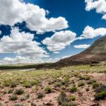 Venez entrer dans le Carême – Mercredi des Cendres